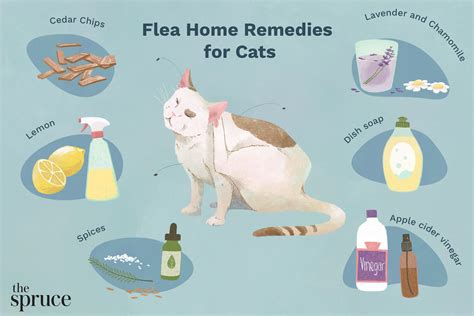 How to Get Fleas Off Furniture: A Comprehensive Guide to Flea-Free Living